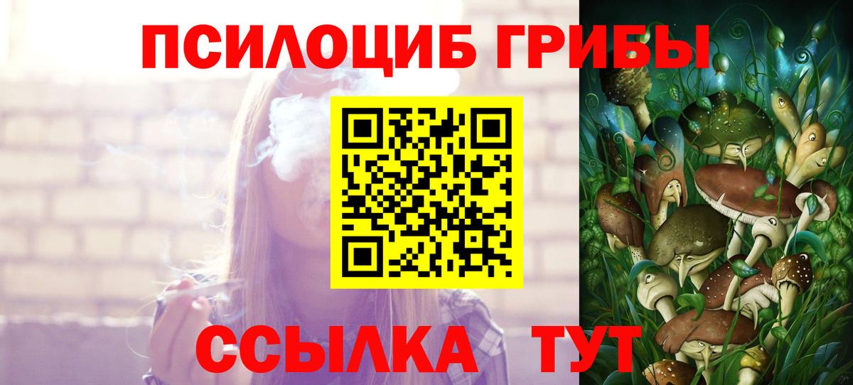 Галлюциногенные грибы прущие грибы  Вход с VPN  Выборг 