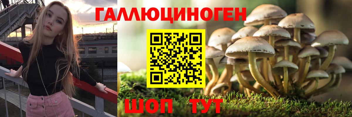 Псилоцибиновые грибы GOLDEN TEACHER Выборг
